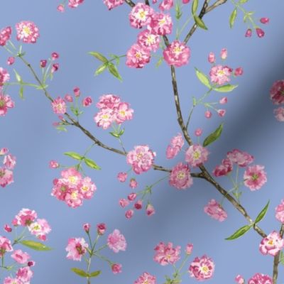 Cherry Blossom - Serenity