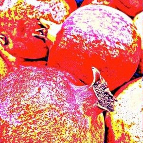 Anardana, The Prospering Pomegranate