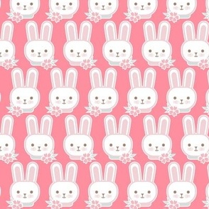 Bunny Faces- Mini-  Coral Background- Easter Bunnies- Pastel Colors- Flamingo- Pink- Rose- Kawaii- Petal Solids Coordinates- Spring