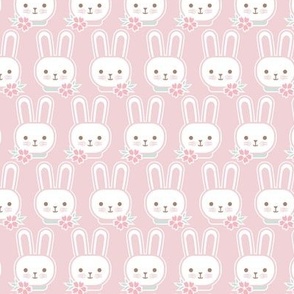 Bunny Faces- Mini-  Cotton Candy Background- Easter Bunnies- Pastel Colors- Pink- Rose- Kawaii- Petal Solids Coordinates- Spring