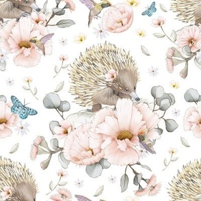 Australian Echidnas and Blossoms with Eucalyptus Leaves and Cosmos Flowers