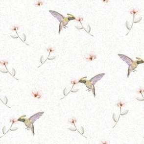 Hummingbirds and Flowers Flying