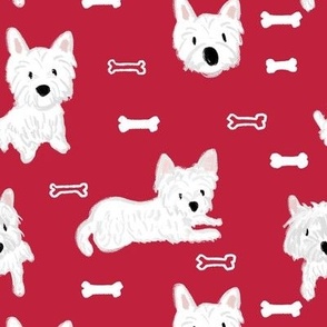 westie red