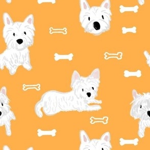 westie orange2