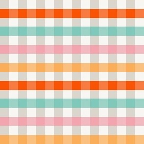 Retro Rainbow Gingham - Small