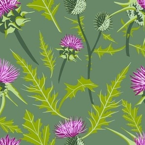 Thistle