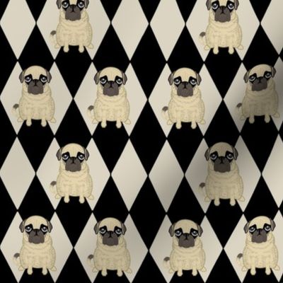 Filemon Kid Pugs