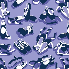 Normal scale // Pretty ballerinas //  lilac background midnight blue and white ballet pointe flat shoes