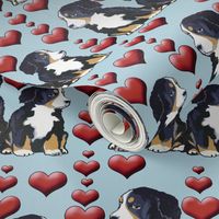 Bernese Mountain Dog Puppies and Hearts