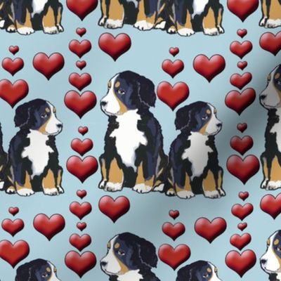 Bernese Mountain Dog Puppies and Hearts