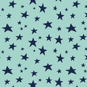 (small scale) Stars - navy on mint - LAD22