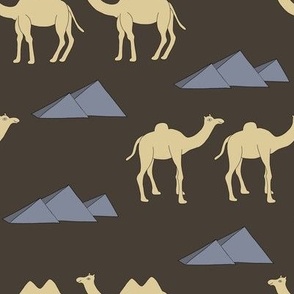 Camels and dromedaries