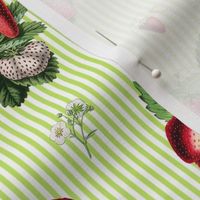 Strawberries on bright green stripes