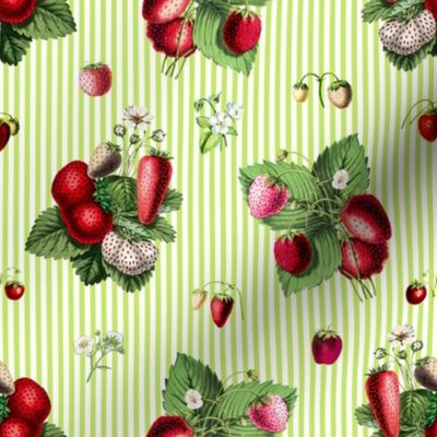 Strawberries on bright green stripes