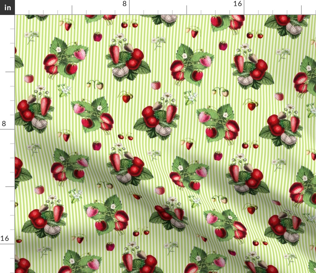 Strawberries on bright green stripes