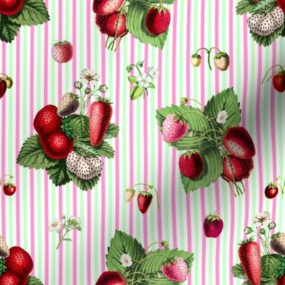 Strawberries on candy green and rose stripes on white