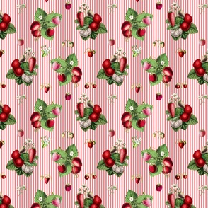 Strawberries on coral stripes