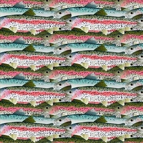 Rainbow Trout and Steelhead pattern 4i