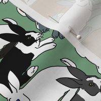 Himalayan Dutch and White Rabbits on Green