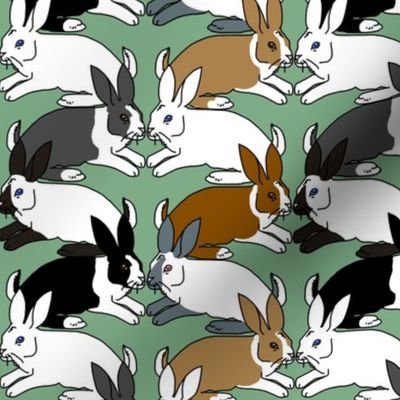 Himalayan Dutch and White Rabbits on Green