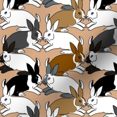 Himalayan Dutch and White Rabbits on Beige