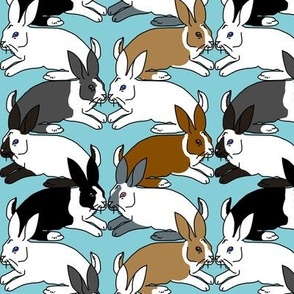 Himalayan Dutch and White Rabbits on Turquoise Blue