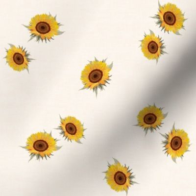 Sunflowers Cream_Iveta Abolina