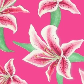 Lily floral with Stargazer lilies on fuchsia pink