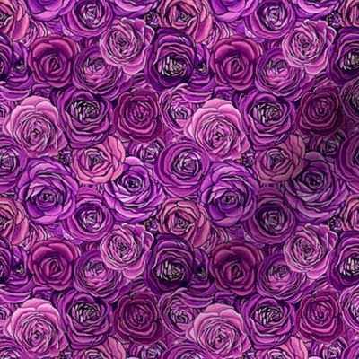 Purple ranunculi or violet rose floral