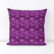 Purple ranunculi or violet rose floral