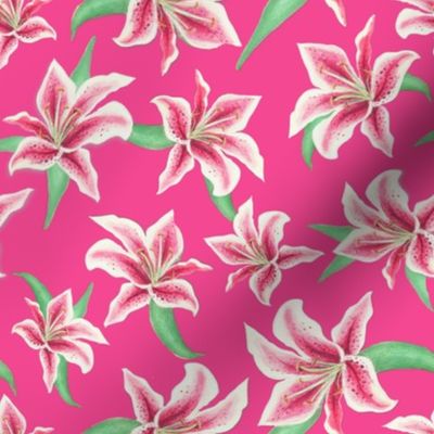 Lily floral with Stargazer lilies on fuchsia pink