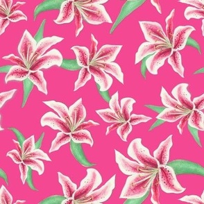 Lily floral with Stargazer lilies on fuchsia pink