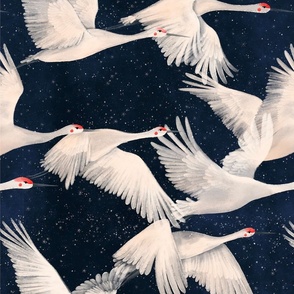 Sky Cranes - Midnight