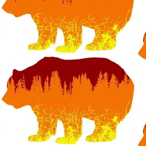 bear6