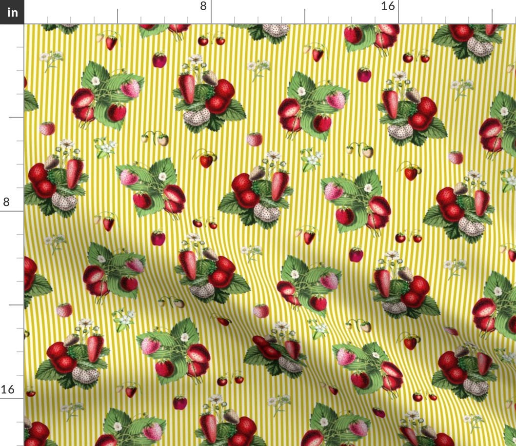 Strawberries on dark yellow stripes