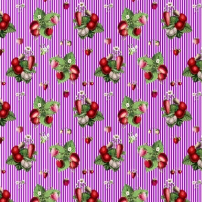 Strawberries on magenta stripes