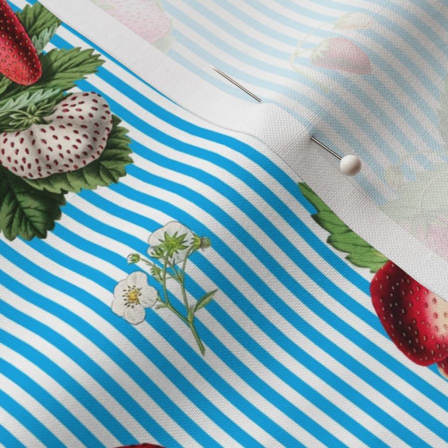 Strawberries on sky blue stripes