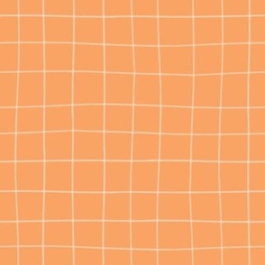 Gingham In Apricot 8x8