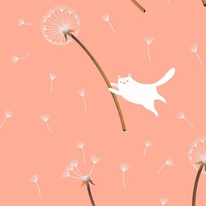 Dandelions and cats 