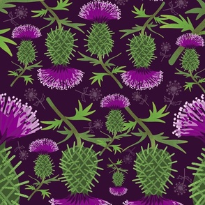 Thistles Strong & Beautiful, on deep purple