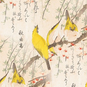 Japanese Yellow Birds