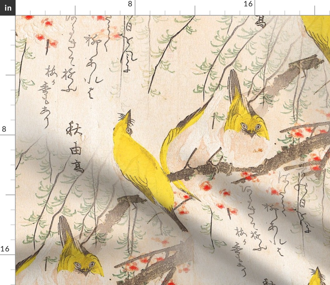 Japanese Yellow Birds