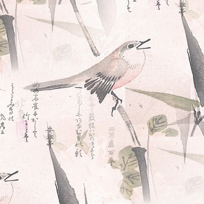 Japanese Bird  & Bamboo