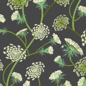 Queen Anne's Lace Charcoal