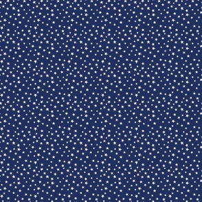 Mini Micro White Stars on Navy Blue, July 4th, USA Patriotic Fabric, Night Sky | Blender, Boys, Kids 