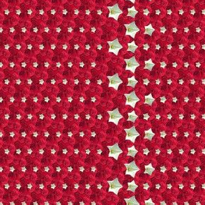 red Tiny stars 2