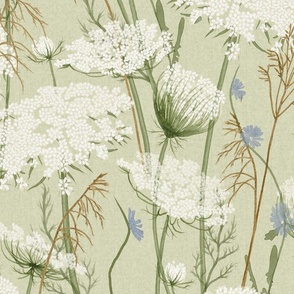 Queen Annes Lace Fabric, Wallpaper and Home Decor
