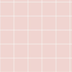 Grid white on soft pink / simple minimal geometric check pattern