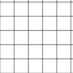 Grid black and white / simple minimal geometric check pattern
