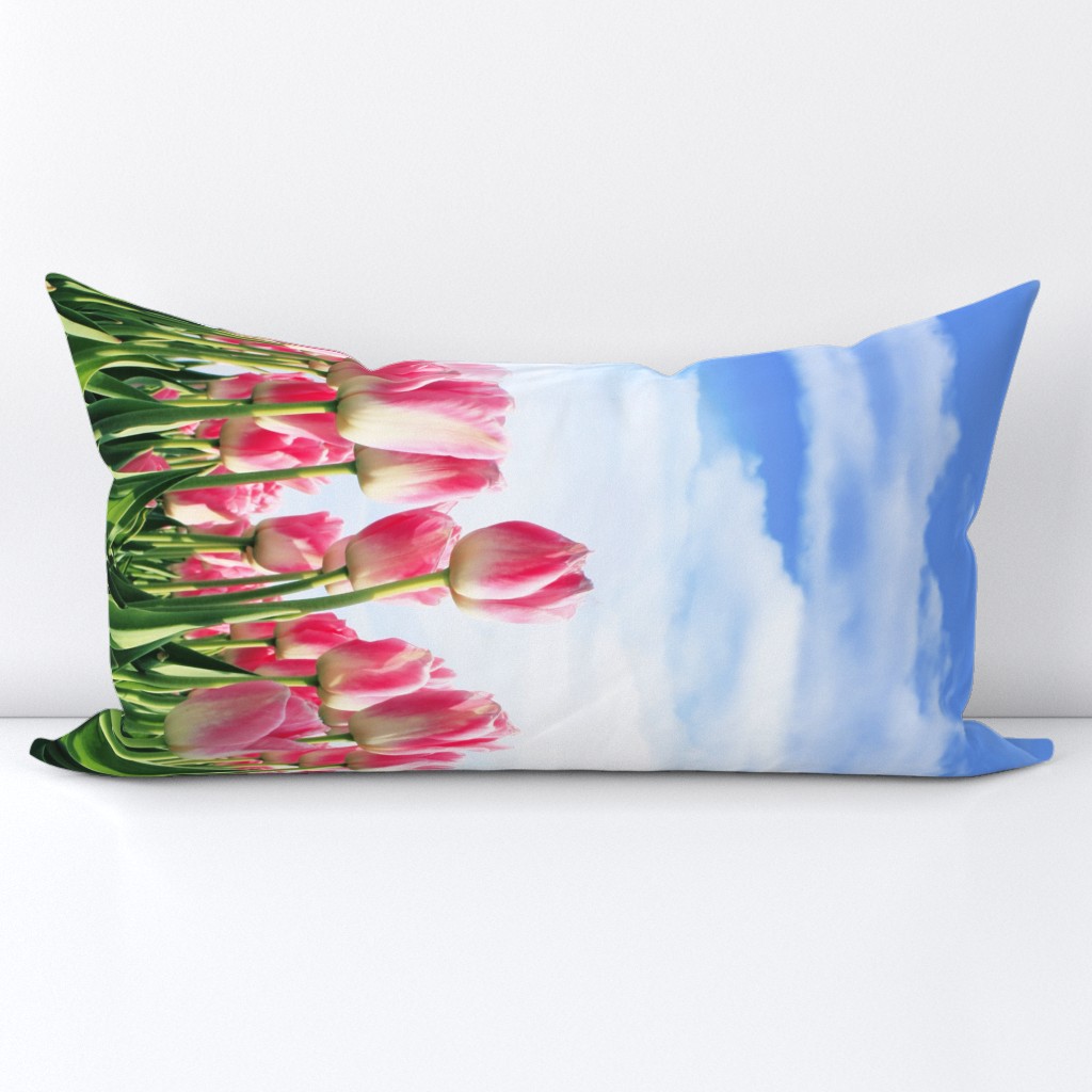 Pink Tulip Border Print fabric Blue Cloudy sky